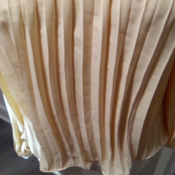 Pleated  Accordion Pleats Style Swing Top - Picture 3 of 16